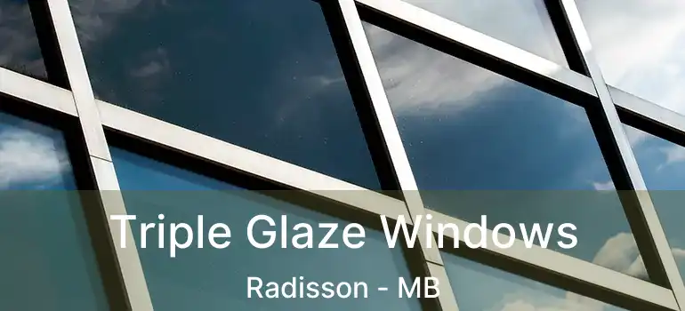  Triple Glaze Windows Radisson - MB