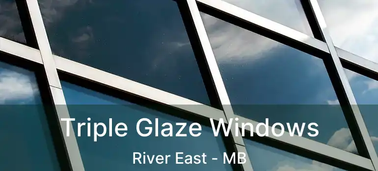  Triple Glaze Windows River East - MB