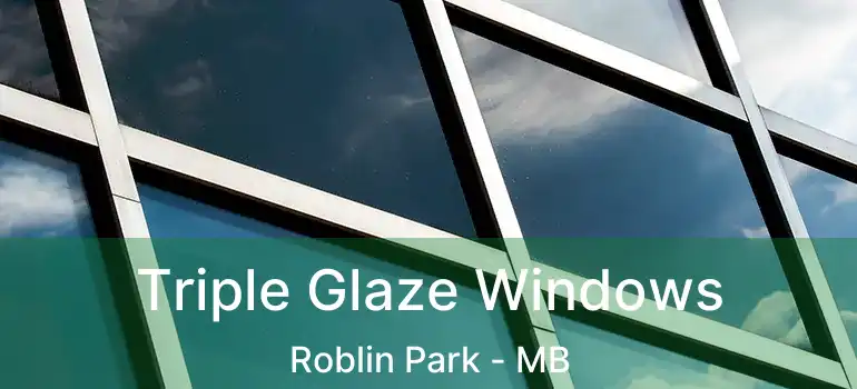  Triple Glaze Windows Roblin Park - MB