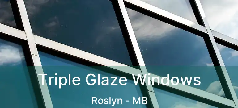  Triple Glaze Windows Roslyn - MB