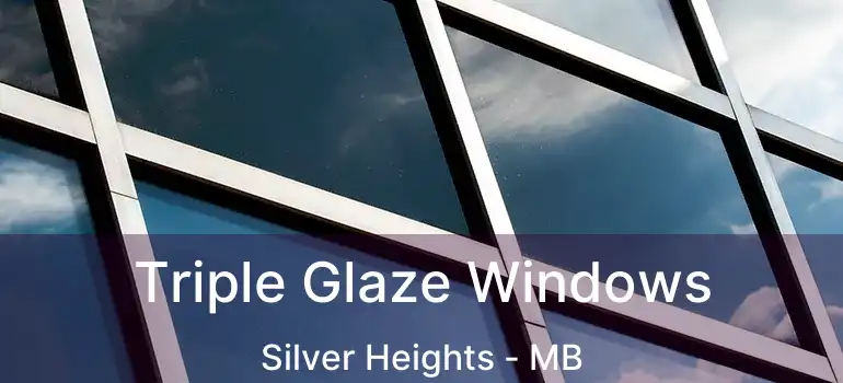  Triple Glaze Windows Silver Heights - MB