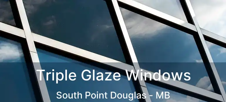  Triple Glaze Windows South Point Douglas - MB