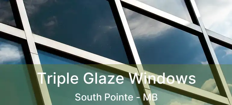  Triple Glaze Windows South Pointe - MB