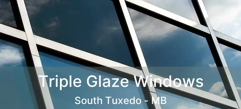  Triple Glaze Windows South Tuxedo - MB
