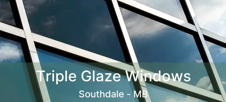  Triple Glaze Windows Southdale - MB