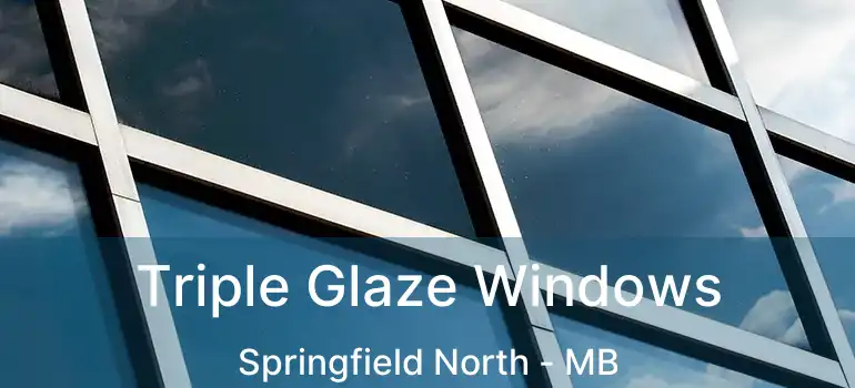  Triple Glaze Windows Springfield North - MB