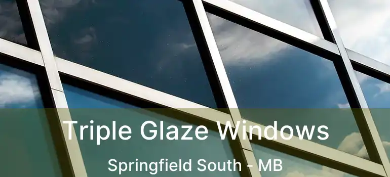  Triple Glaze Windows Springfield South - MB