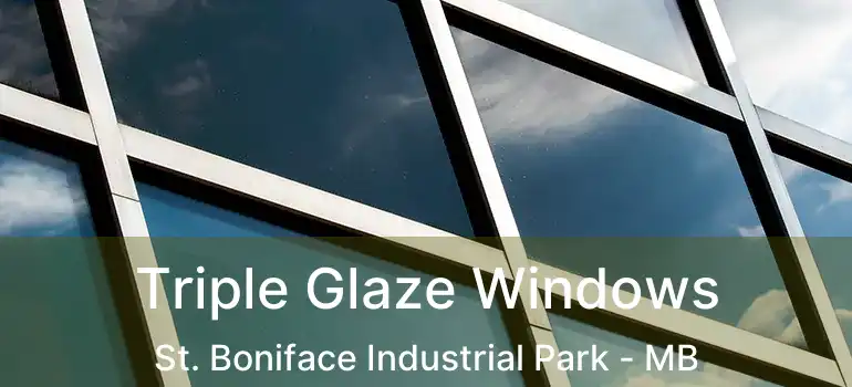  Triple Glaze Windows St. Boniface Industrial Park - MB