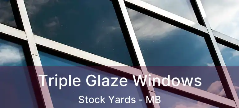  Triple Glaze Windows Stock Yards - MB