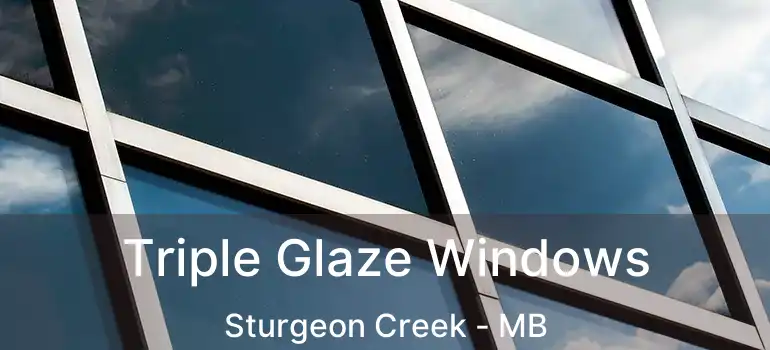  Triple Glaze Windows Sturgeon Creek - MB