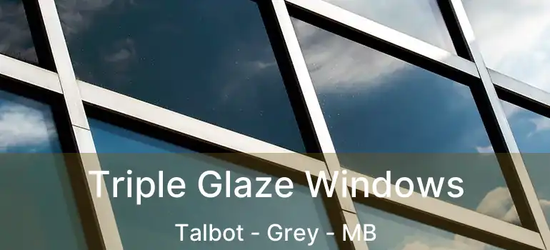  Triple Glaze Windows Talbot - Grey - MB