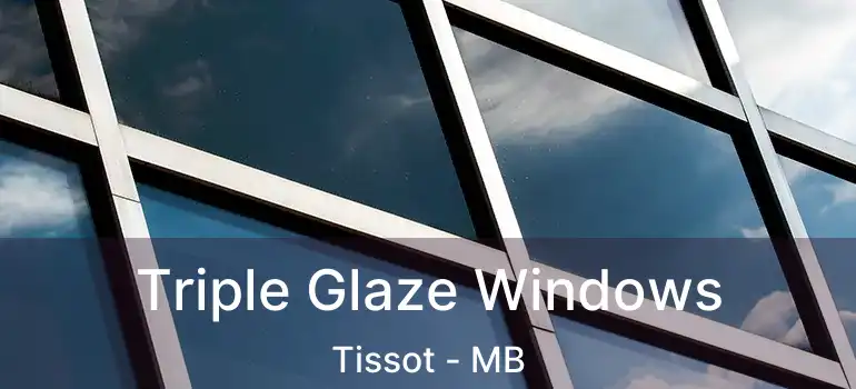  Triple Glaze Windows Tissot - MB