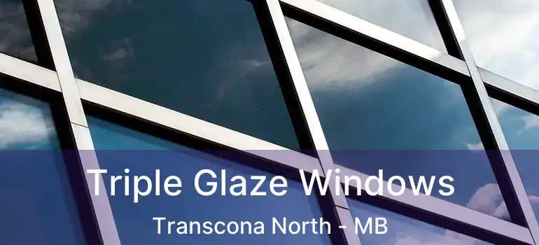  Triple Glaze Windows Transcona North - MB