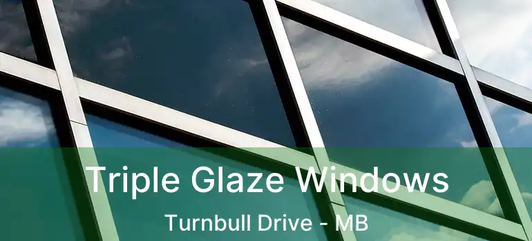  Triple Glaze Windows Turnbull Drive - MB