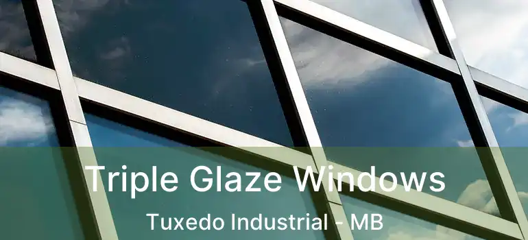  Triple Glaze Windows Tuxedo Industrial - MB