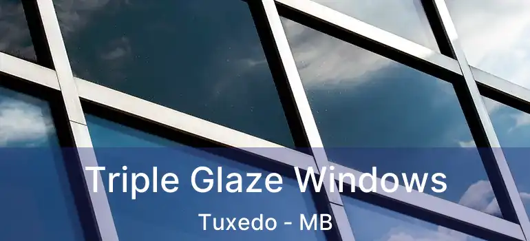  Triple Glaze Windows Tuxedo - MB