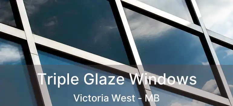  Triple Glaze Windows Victoria West - MB