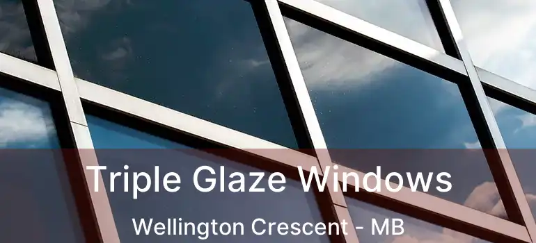  Triple Glaze Windows Wellington Crescent - MB