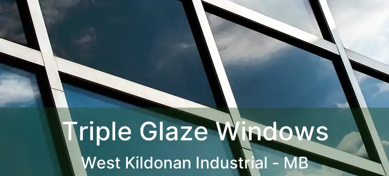  Triple Glaze Windows West Kildonan Industrial - MB