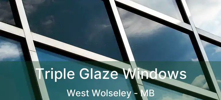  Triple Glaze Windows West Wolseley - MB