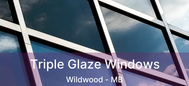  Triple Glaze Windows Wildwood - MB