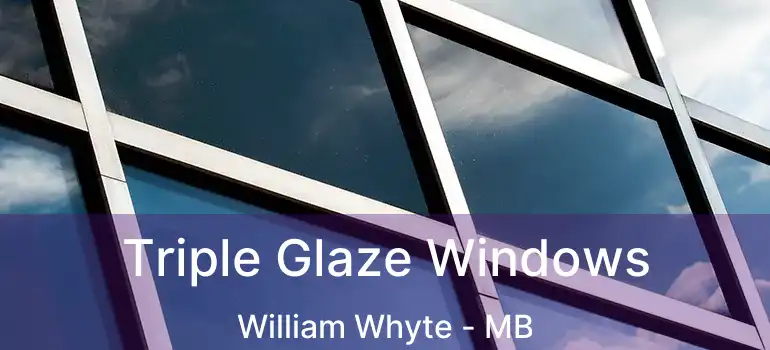 Triple Glaze Windows William Whyte - MB