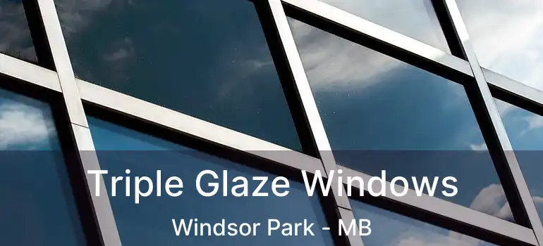  Triple Glaze Windows Windsor Park - MB