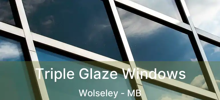 Triple Glaze Windows Wolseley - MB