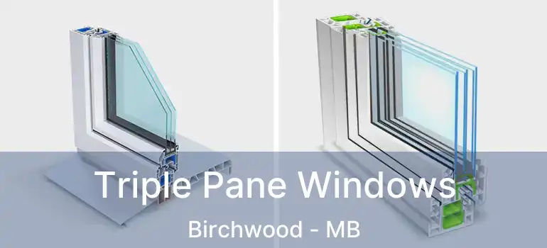  Triple Pane Windows Birchwood - MB
