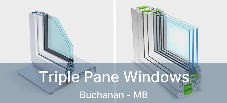  Triple Pane Windows Buchanan - MB