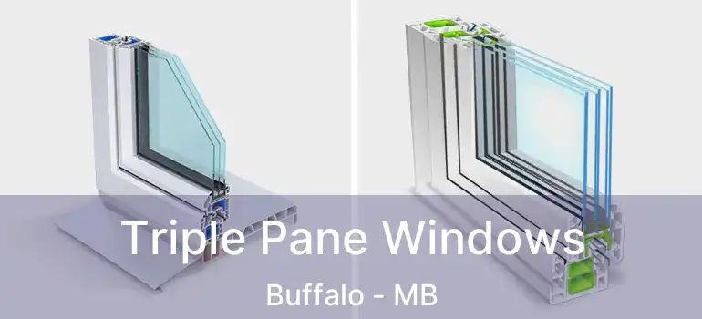  Triple Pane Windows Buffalo - MB