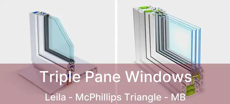  Triple Pane Windows Leila - McPhillips Triangle - MB