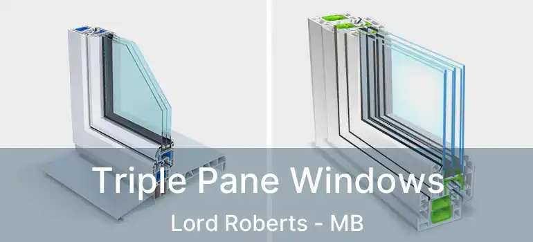  Triple Pane Windows Lord Roberts - MB