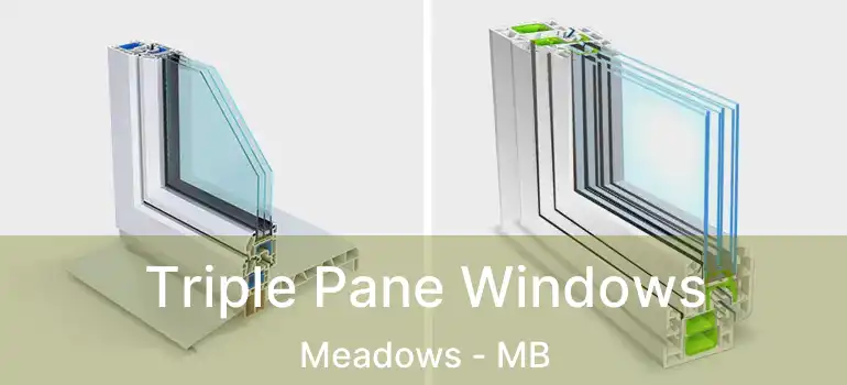  Triple Pane Windows Meadows - MB