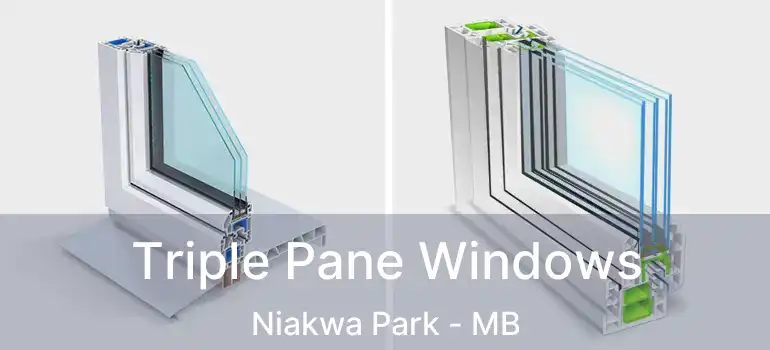  Triple Pane Windows Niakwa Park - MB
