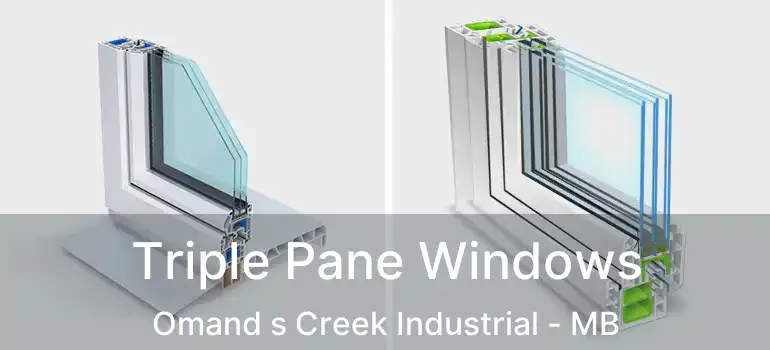  Triple Pane Windows Omand s Creek Industrial - MB