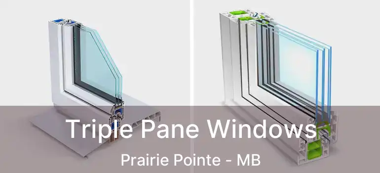  Triple Pane Windows Prairie Pointe - MB