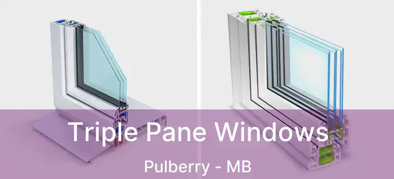  Triple Pane Windows Pulberry - MB