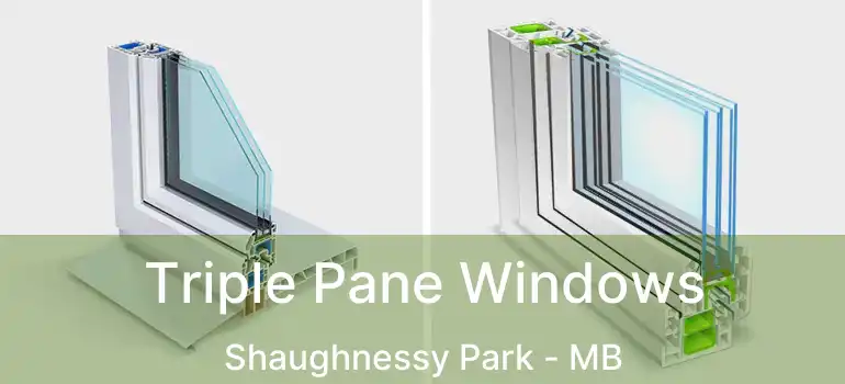  Triple Pane Windows Shaughnessy Park - MB