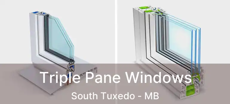  Triple Pane Windows South Tuxedo - MB