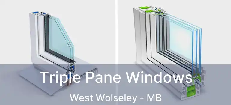  Triple Pane Windows West Wolseley - MB