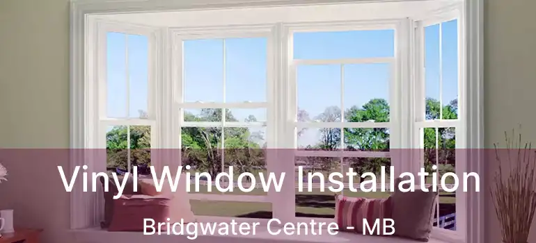  Vinyl Window Installation Bridgwater Centre - MB
