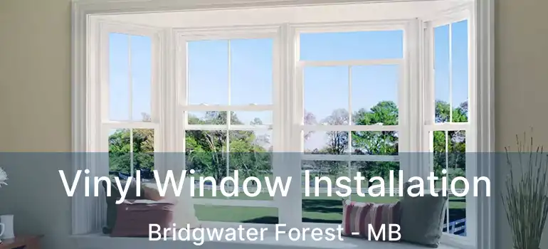 Vinyl Window Installation Bridgwater Forest - MB