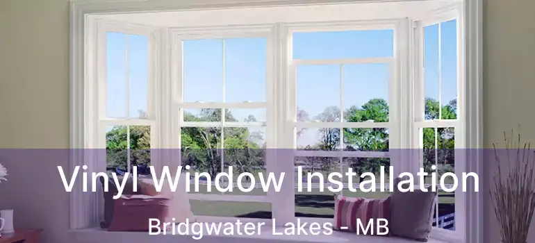  Vinyl Window Installation Bridgwater Lakes - MB