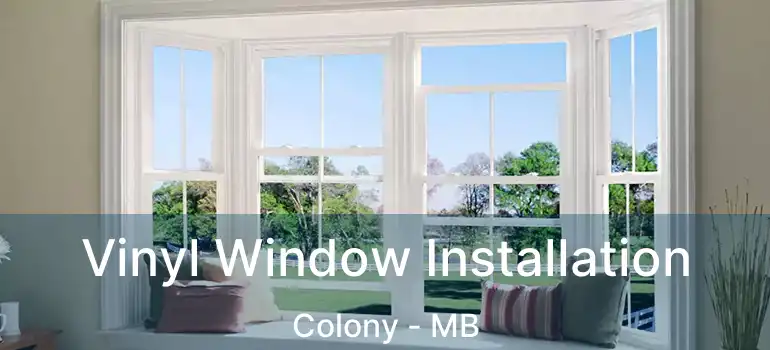  Vinyl Window Installation Colony - MB