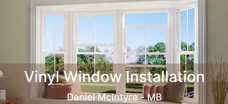  Vinyl Window Installation Daniel McIntyre - MB
