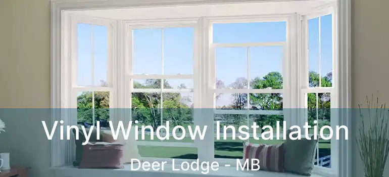  Vinyl Window Installation Deer Lodge - MB
