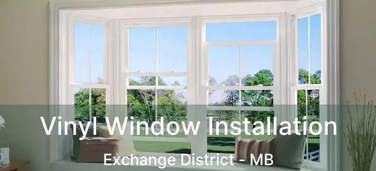  Vinyl Window Installation Exchange District - MB