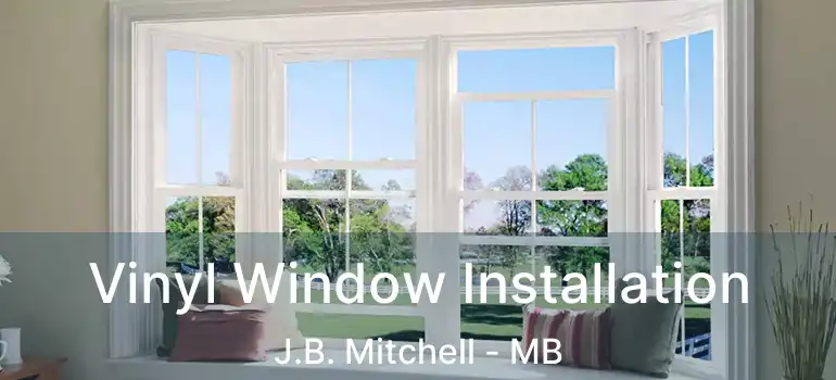  Vinyl Window Installation J.B. Mitchell - MB