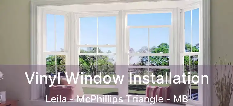  Vinyl Window Installation Leila - McPhillips Triangle - MB